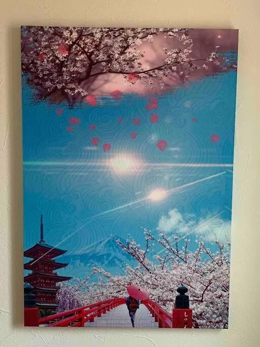悦舍 Villa Osaka